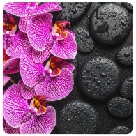 Badematte Madeira 53 x 53 cm