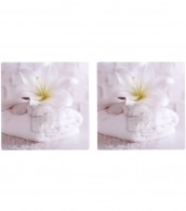 Duschablage Good Feeling 22,8 x 14 x 10,5 cm